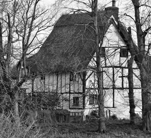 Thatched Cottage